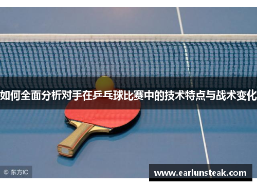 如何全面分析对手在乒乓球比赛中的技术特点与战术变化