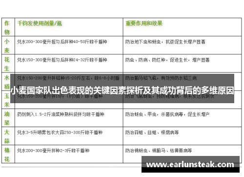 小麦国家队出色表现的关键因素探析及其成功背后的多维原因